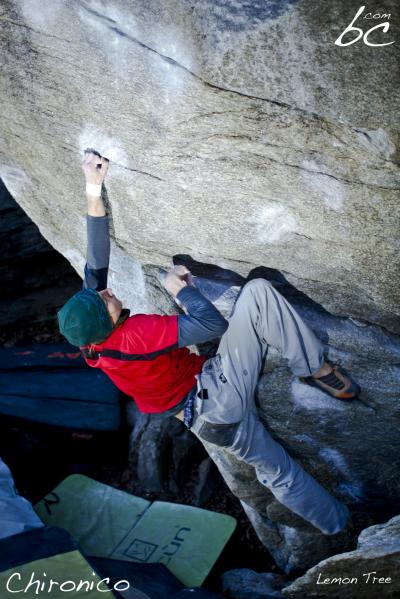 Jojo in "Lemon Tree""